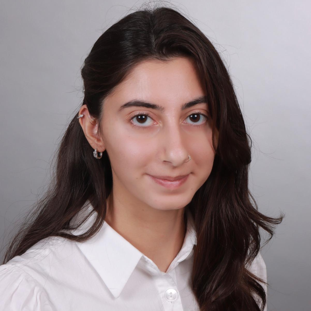 Amine Hazal